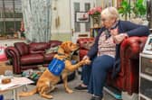 The funding means the charity can help more people like June James, pictured with her disability assistance support dog Lawson