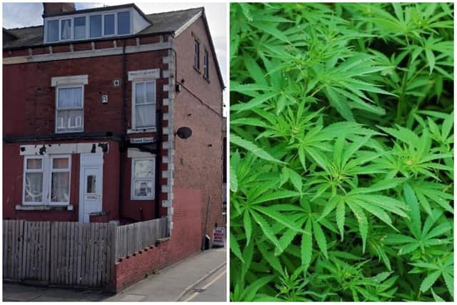 Butterworth's home on Hudson Grove was used to grow cannabis which he sold on the streets.