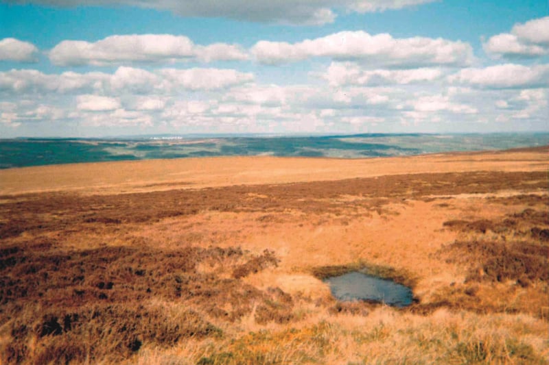 The source of Backstone Beck near the summit of Ilkley Moor.