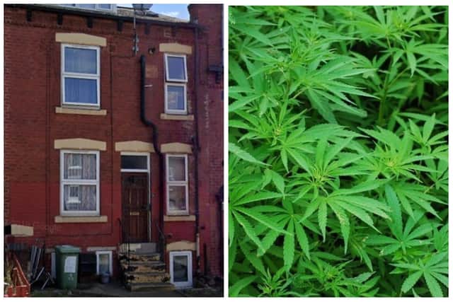 The home on Sowood Street was raided by officers who found a sophisticated cannabis set up in the loft.