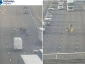 Cows pictured wandering on the M1 motorway in Yorkshire this morning. Picture: Highways England.