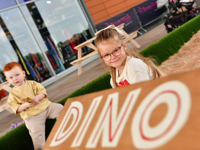 Hunt for fossils in Discovery Dig