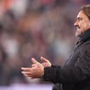 DIFFICULT WEEK - Leeds United boss Daniel Farke has had his plans disrupted by the international break and its impact upon some of his key players ahead of a game against strugglers Rotherham United. Photo by Nathan Stirk/Getty Images.