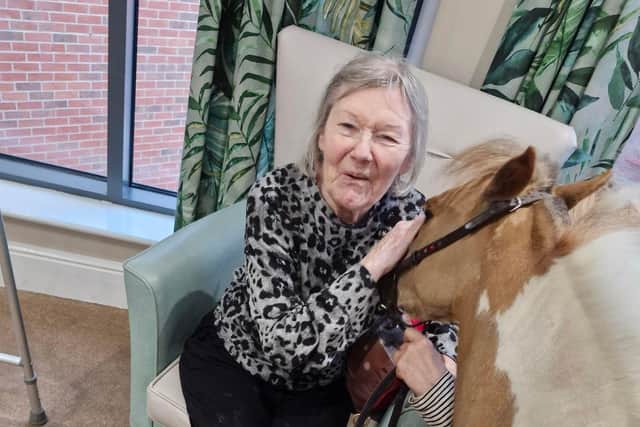 Resident from HC-One’s Newfield Lodge Care Home with Hazle, a therapeutic miniature American horse from KL Pony Therapy