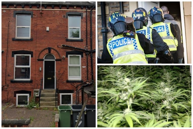 Eldo Cullhay was caught tending to 472 cannabis plants with a potential yield of almost 50kg worth £495,000 at a house in Beechwood Mount, Burley. The 27-year-old was jailed for nine months.