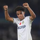 LEEDS, ENGLAND - NOVEMBER 05: Tyler Adams of Leeds United celebrates after their sides victory during the Premier League match between Leeds United and AFC Bournemouth at Elland Road on November 05, 2022 in Leeds, England. (Photo by Harriet Lander/Getty Images)