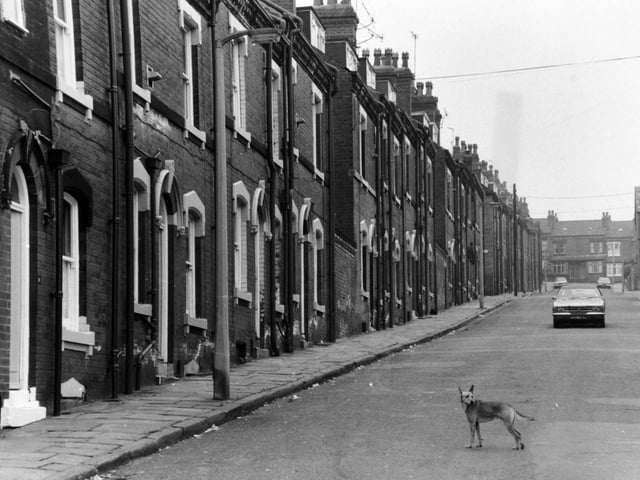 An almost deserted Christopher Road in Woodhouse in August 1978.