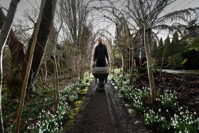 York Gate Garden in Adel is among the city's hidden gems. Covering just one acre, it is considered by many as one of the finest small gardens in the country.