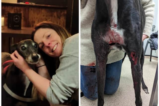 Tracey Tennant's dog had to be put down due to the severity of his wounds after being attacked by another dog in East Ardley. Photo: Tracey Tennant