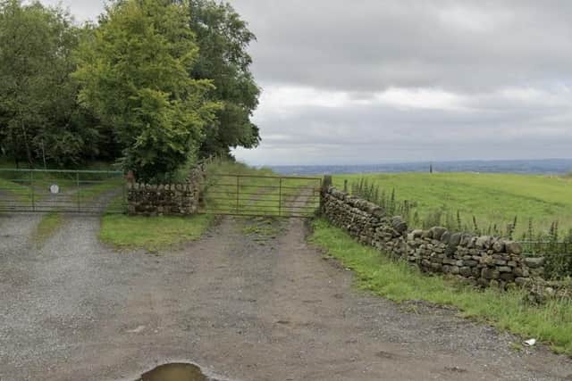 There would be trained professionals on site to aid dog owners and handlers. Image: Google Street View