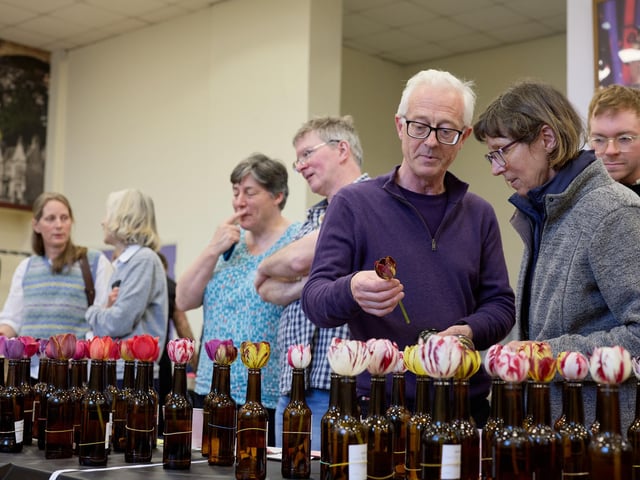 Judy Baker and John Wainwright at the Wakefield and North of England Tulip Society's annual show.