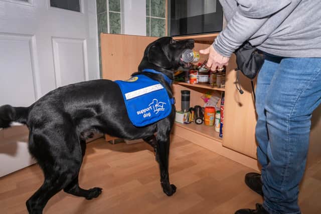 Support dog Gordon helps Amanda Radforth at home