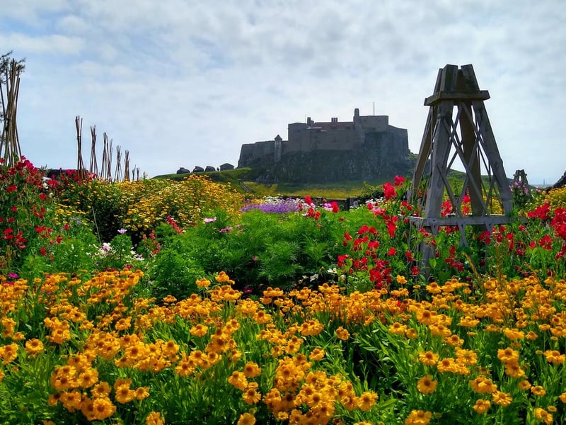 Garden designer, writer and artist Gertrude Jekyll created this small walled garden in 1911 alongside friend Edwin Lutyens, who'd transformed Lindisfarne Castle into a holiday home. It is one of five Jekyll gardens belonging to the National Trust nationwide that are open to the public.