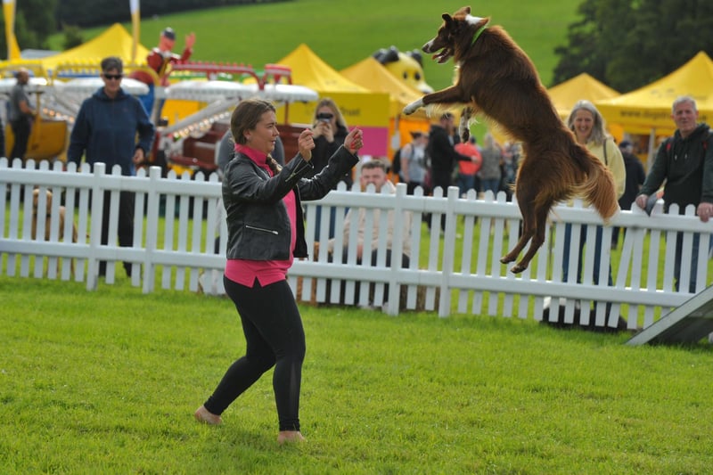Demonstrations throughout the day were among the highlights, including this playful pup's impressive leap into the air.