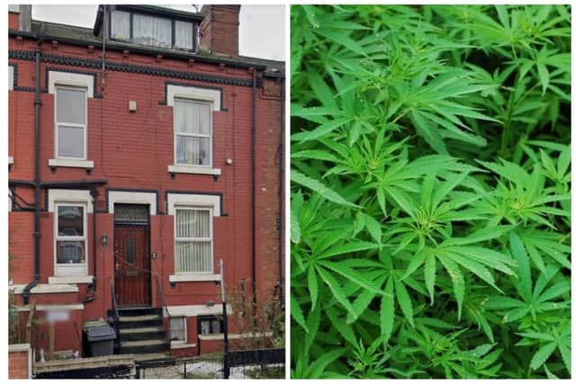 Dedja was ordered to work at the cannabis factory on at the home on Ashton Terrace.