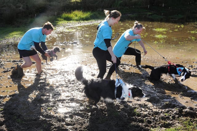 The challenge aims to raise money for Battersea through participants fundraising £100 in advance of the day.