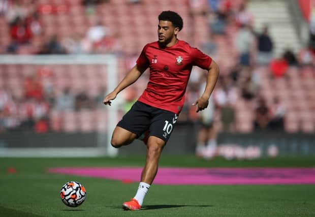 Che Adams of Southampton. (Photo by Steve Bardens/Getty Images)