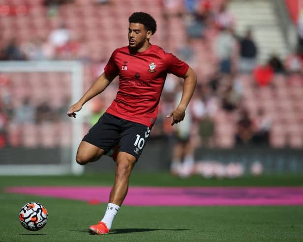Che Adams of Southampton. (Photo by Steve Bardens/Getty Images)