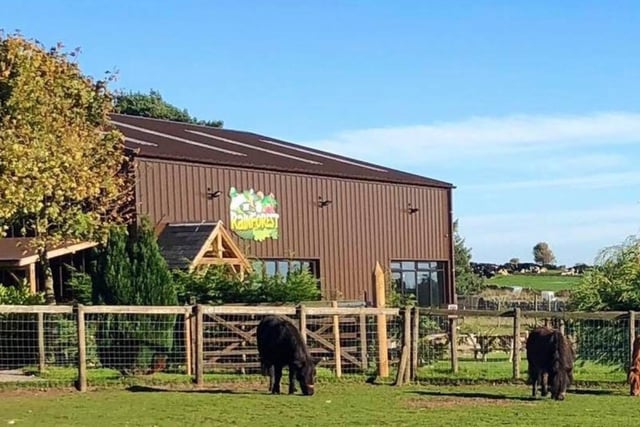 There's plenty of things for kids to do at Matlock Farm Park. They can have a spin on the go-karts, pet some friendly llamas or go for a ride on a pony - the list goes on. There's something for kids of all demeanours here.