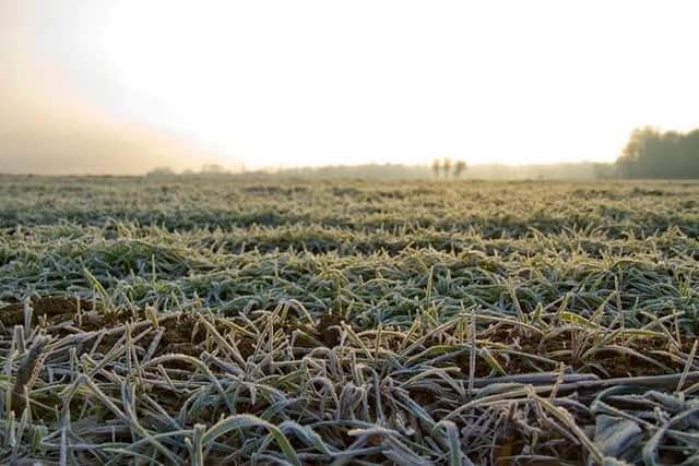 Frosty mornings are on the way