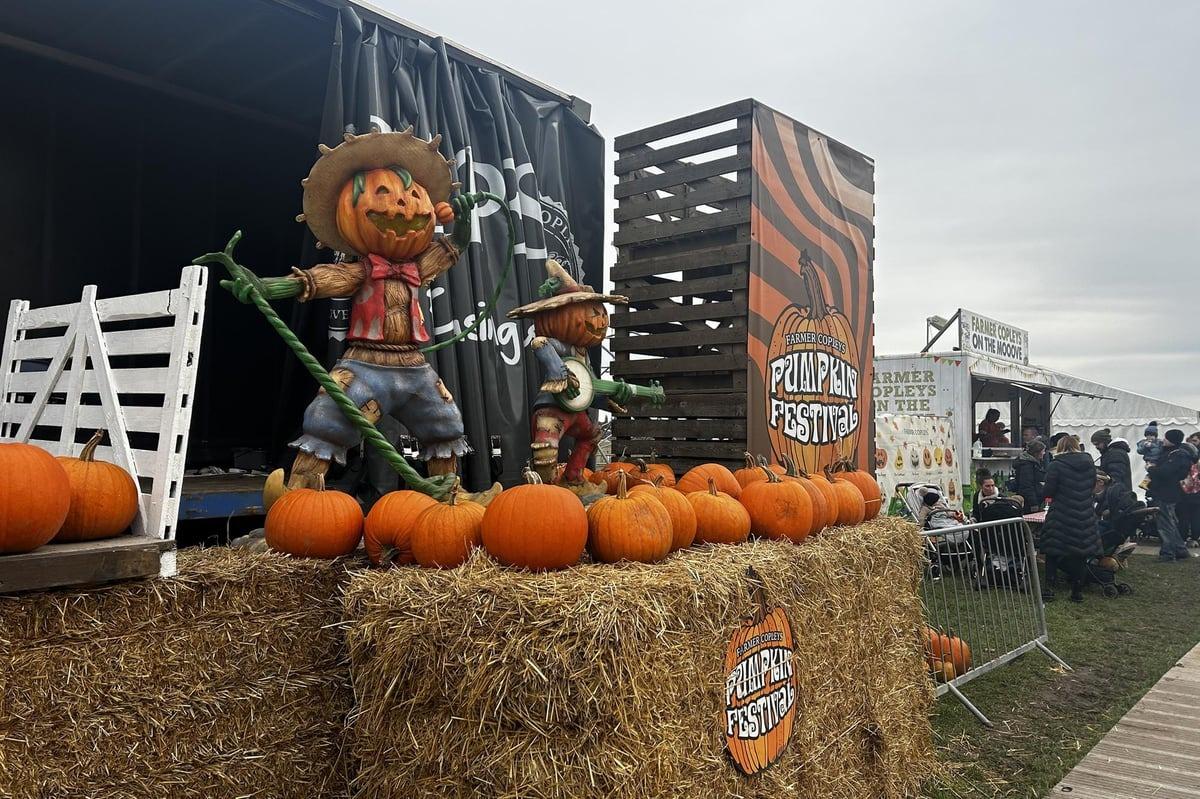Farmer Copleys Pumpkin Festival returns for 20th anniversary with 300,000 homegrown pumpkins