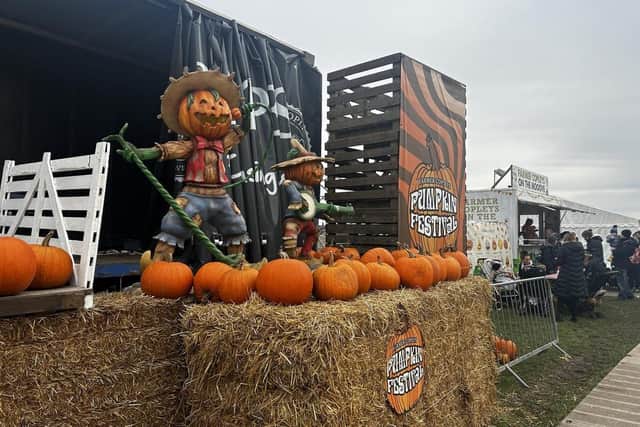 Farmer Copleys' Pumpkin Festival returns this year to celebrate its 20th anniversary - and featuring over 300,000 homegrown pumpkins just in time for Halloween