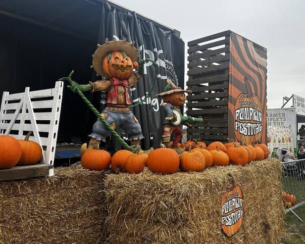 Farmer Copleys' Pumpkin Festival returns this year to celebrate its 20th anniversary - and featuring over 300,000 homegrown pumpkins just in time for Halloween