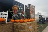 Farmer Copleys' Pumpkin Festival returns this year to celebrate its 20th anniversary - and featuring over 300,000 homegrown pumpkins just in time for Halloween