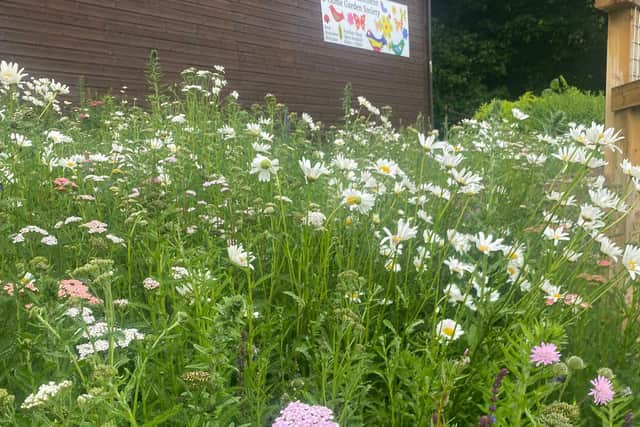 The new Community Garden at Archer Lane Allotments