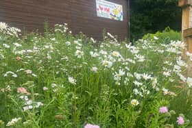 The new Community Garden at Archer Lane Allotments