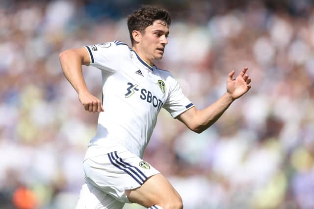 BACKING: For Leeds United attacker Dan James from his national boss Rob Page. Photo by Catherine Ivill/Getty Images.