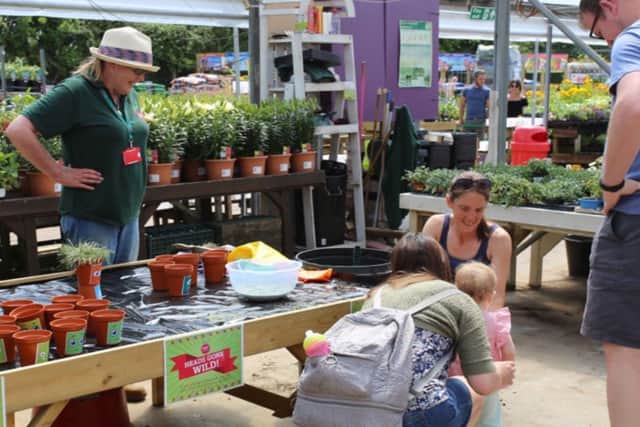 This National Children’s Gardening Week (24th May – 1st June), Cherry Lane Garden Centres is hosting a range of events aiming to get children into gardening