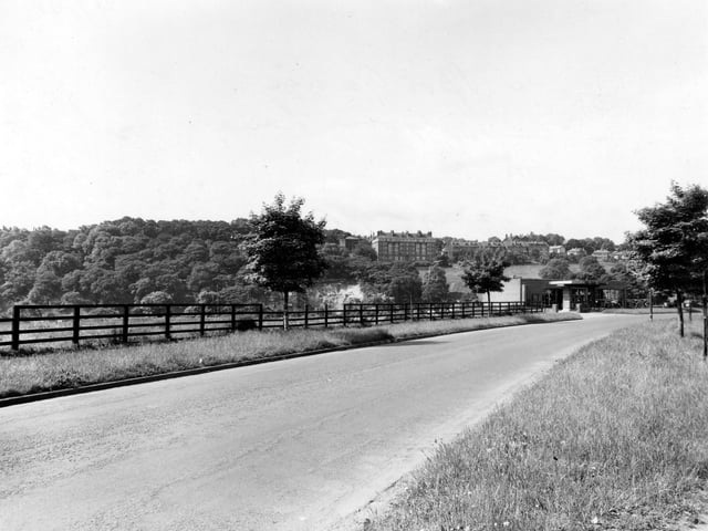 Looking south-west along Grove Lane towards the Spot Garage opposite the junction with Winthorpe Street in July 1948. In the background is Batty's Wood and large houses can be seen on the top of the hill; the largest building is Grange Court, an Edwardian apartment building which stands today at the end of North Grange Mount on The Ridge