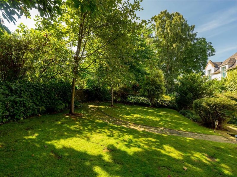 Rear garden.