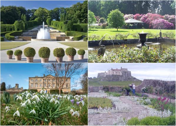 Some of the many gardens to visit in Northumberland this summer.