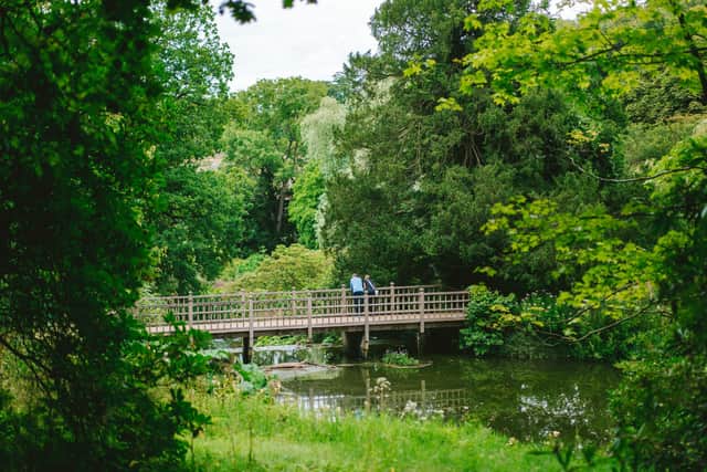 Harewood Lake