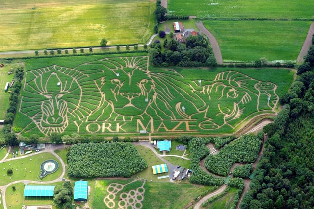 Our county is home to York Maize Maze, biggest in the UK, this award-winning maze is open throughout summer, also featuring more than 20 other attractions and activities.