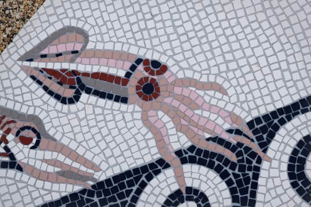 The Seawatching Station is home to Roman Mosaic c.2025, by Turner-prize winning artist, Jeremy Deller. The mosaic features marine animals living along the Yorkshire coast.
