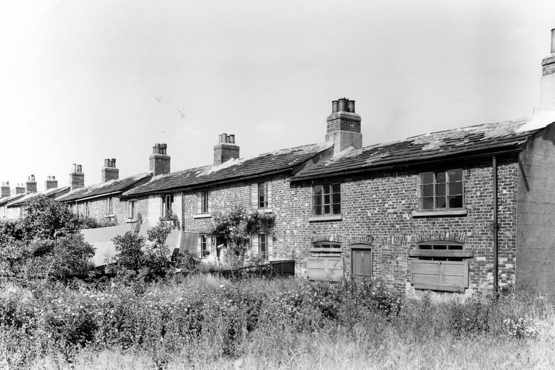 row of large through terraced houses on Beeston Royds. This street has since been demolished and the area is known as Beeston Royds.