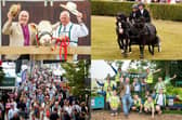 We take a look at 15 spectacular photos from the second day of the Great Yorkshire Show 2026 in Harrogate