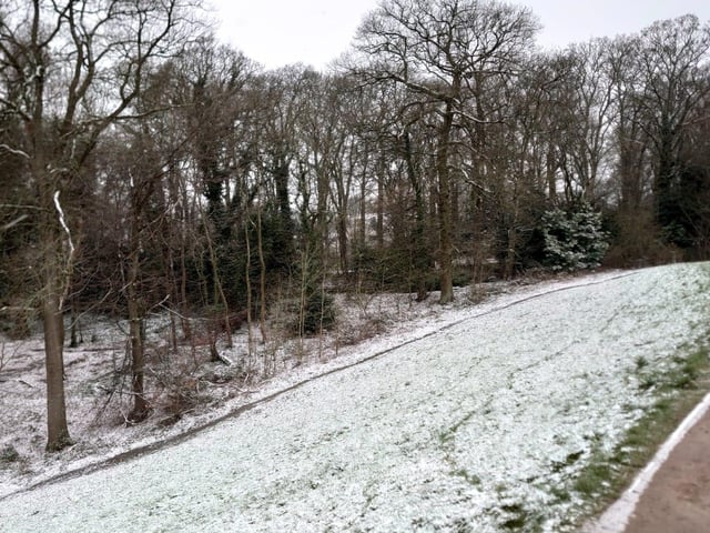 Some of the city's green spaces are not so green anymore.