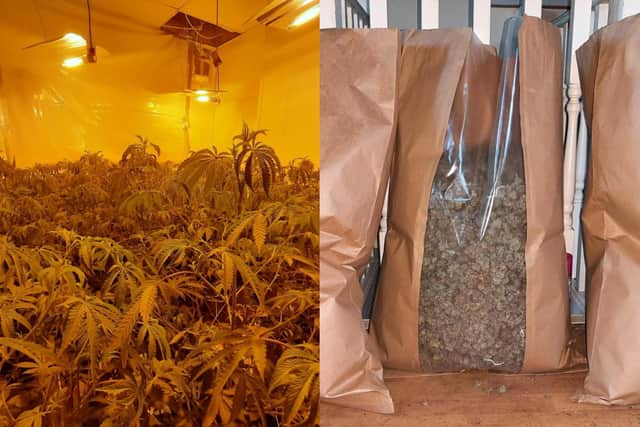 The cannabis farm was uncovered in Compton Road, Harehills (Photo: WYP)