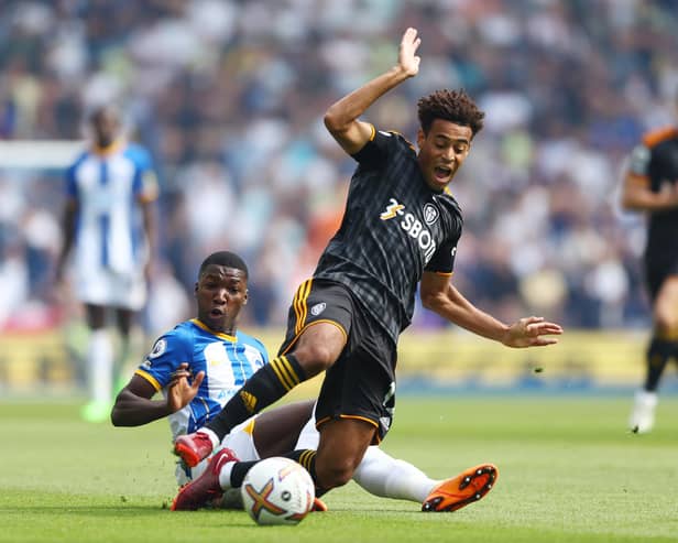 BRIGHTON, ENGLAND - AUGUST 27: Tyler Adams of Leeds United is tackled by Moises Caicedo of Brighton & Hove Albion during the Premier League match between Brighton & Hove Albion and Leeds United at American Express Community Stadium on August 27, 2022 in Brighton, England. (Photo by Bryn Lennon/Getty Images)
