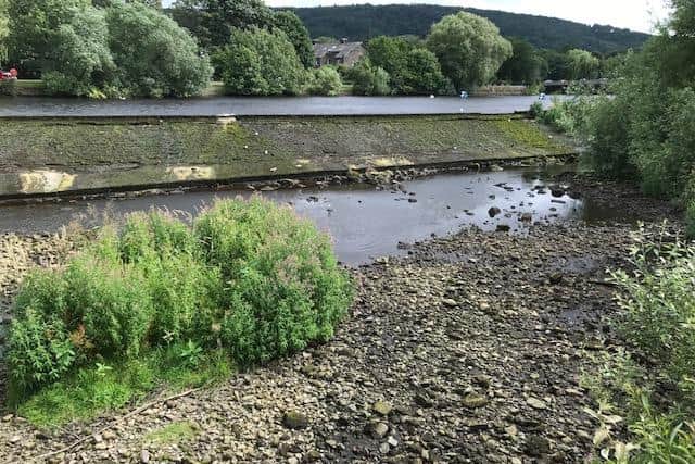 There was no water over the weir and fish were left "exposed". Photo: Sally Howarth