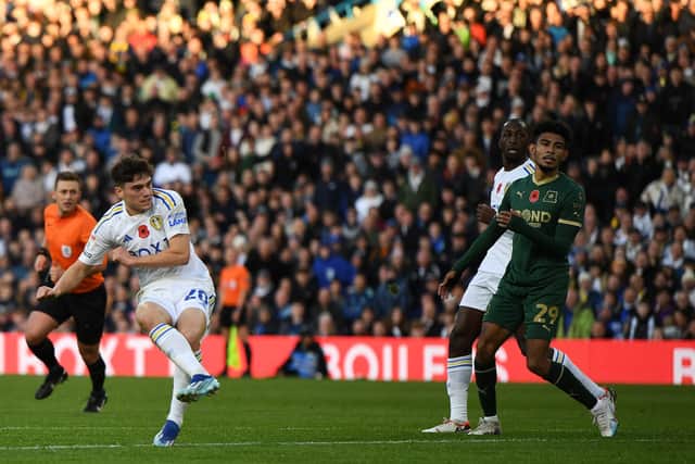 CONSISTENT QUALITY - Daniel James is adding end product to the pace and work-rate for which he has long been known and scored the opener for Leeds United at home to Plymouth Argyle. Pic: Jonathan Gawthorpe