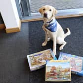 Jigsaws have proved a game-changer for boosting Support Dogs' funds