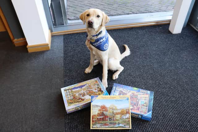 Jigsaws have proved a game-changer for boosting Support Dogs' funds