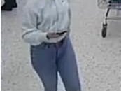 Images of 18 people have been released who officers are keen to identify and speak to in connection with the thefts.