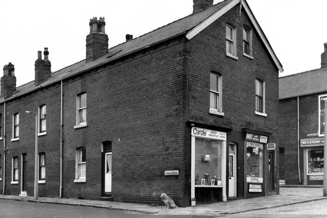 Back-to-back terraces with shops on the gable end. At no 55 is ladies' hairstylist Carole with W. Miller's Greengrocer's at no 57. Advertised for sale are Barr's Soft Drinks, Typhoo Tea, Bird's Eye and Woodbine Cigarettes. Visible on the right is Aysgarth View and the newsagents at no 59. A dog sits under the Aysgarth Road street sign at the corner. Pictured in October 1966.