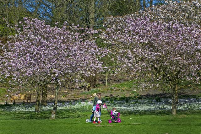 Leeds is a beautifully green city, with parks and green spaces just minutes away from the city centre